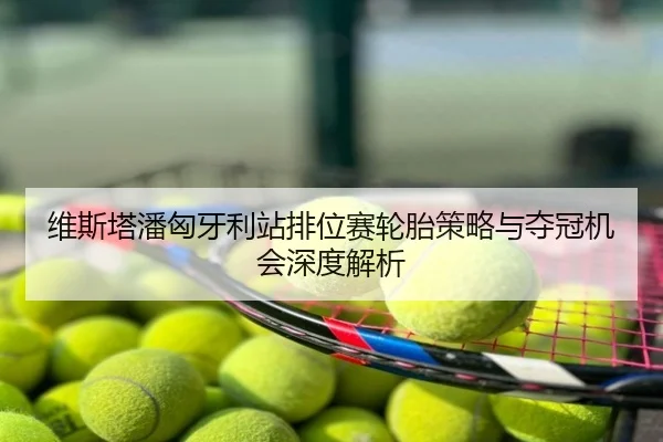 维斯塔潘匈牙利站排位赛轮胎策略与夺冠机会深度解析
